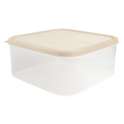 Caja Conservadora # 5