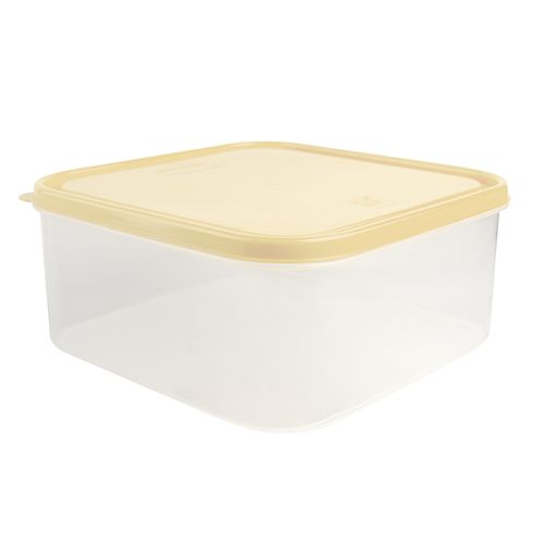 Caja Conservadora # 5