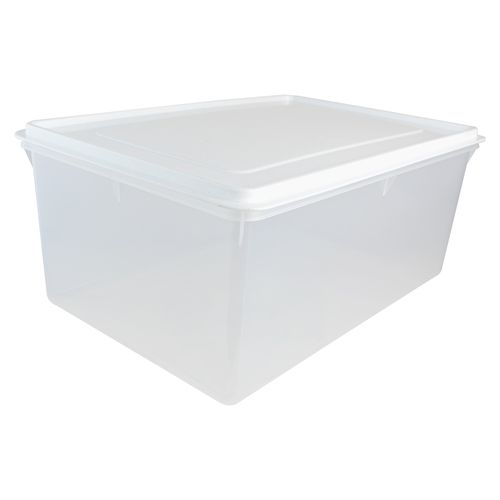 Caja Conservadora N°10