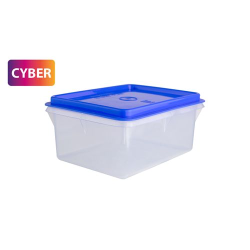 Caja Conservadora N° 3
