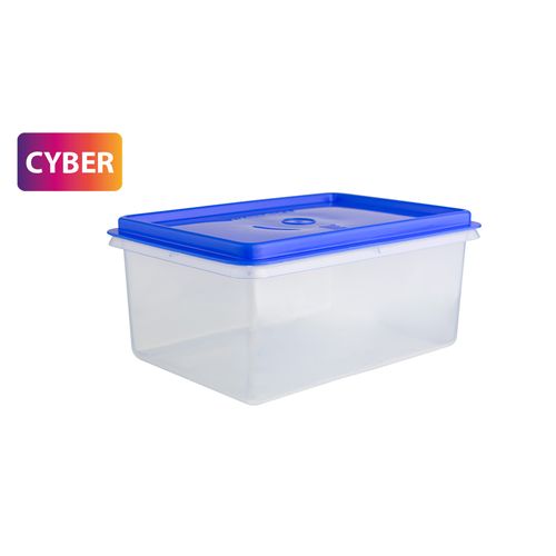 Caja Conservadora N° 4