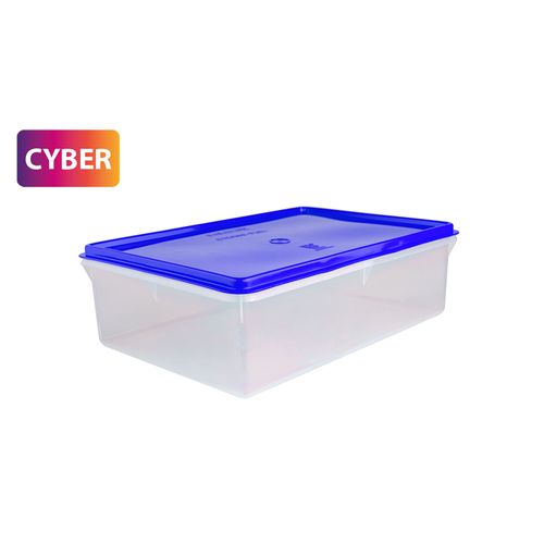 Caja Conservadora N° 5