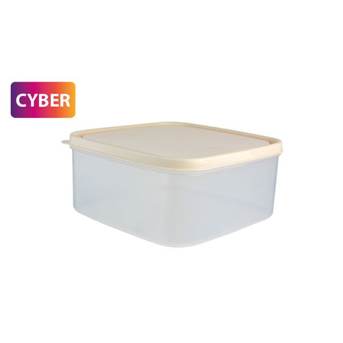 Caja Conservadora Freezer N° 3