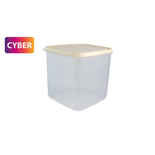 Caja Conservadora Freezer N° 4