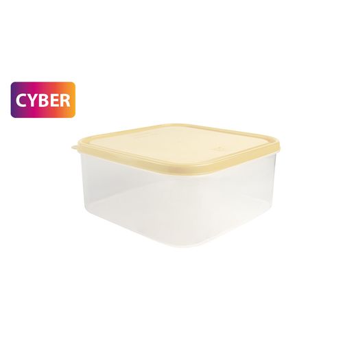 Caja Conservadora Freezer N° 5