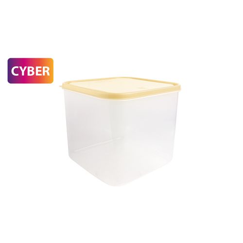 Caja Conservadora Freezer N° 10