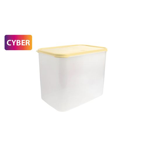 Caja Conservadora Freezer N° 13