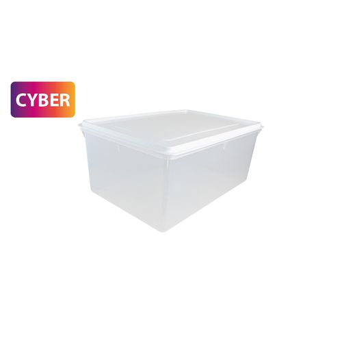 Caja Conservadora N° 10