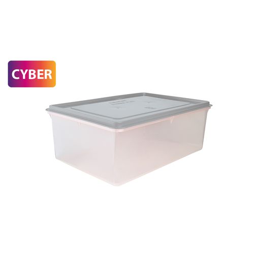 Caja Conservadora N° 11