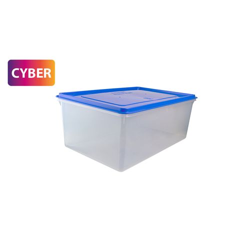 Caja Conservadora N° 12